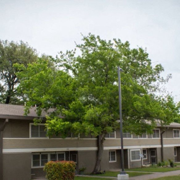 Pathways at Meadowbrook